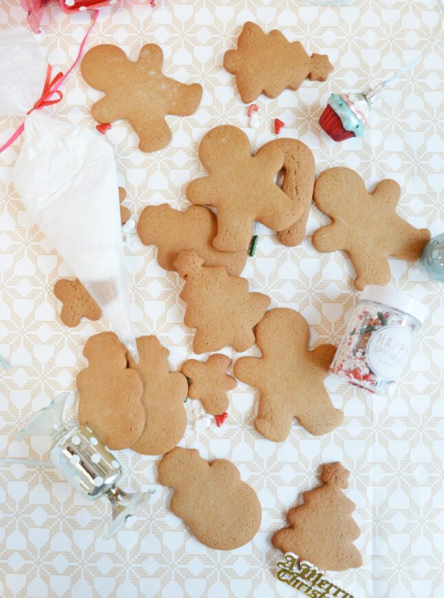 xmas -cookies-DIY xmas-cookies-DIY-royal-icing-sprinkles