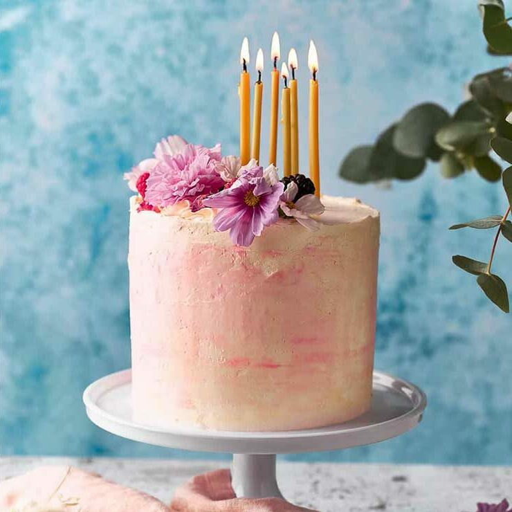 Vegan Taarten Taarten E1758828496829