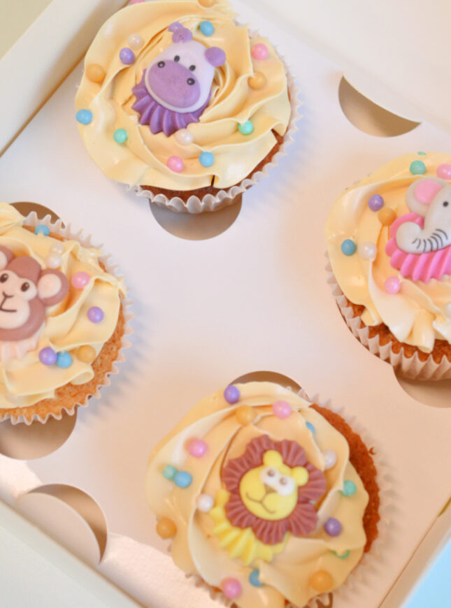 dieren-cupcakes-box dieren-cupcakes-box